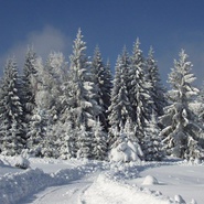 Zima v Boleticích