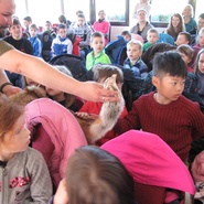 Program lesní pedagogiky na výstavě