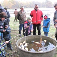 Výlov rybníku Dolanský 2015