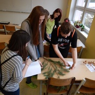 Místní kolo YPEF v KV
