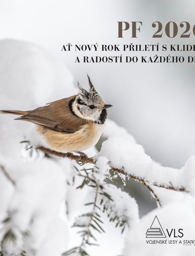 VLS přejí krásné Vánoce