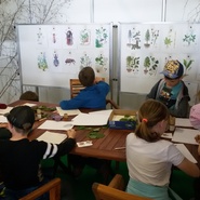 Lesní pedagogové VLS v Lysé