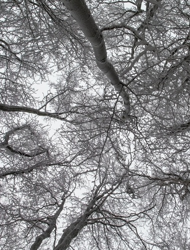 UPOZORNĚNÍ NA NEBEZPEČNOU SITUACI V LESÍCH BRD