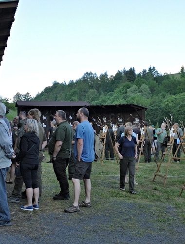 Doupovská přehlídka opět lákala davy
