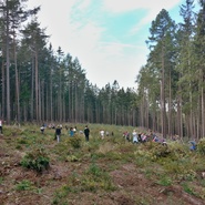 ZŠ Komárov