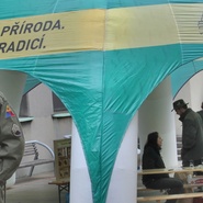 VLS na Dni válečných veteránů 2015