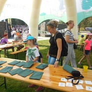 Festival dřeva 2016