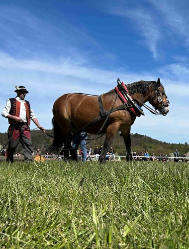 Koňské ržání znělo Brdy