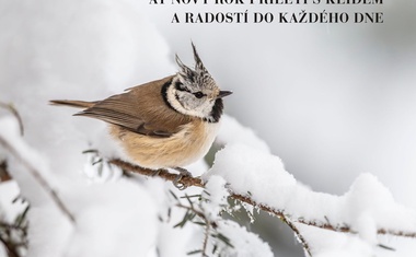 VLS přejí krásné Vánoce