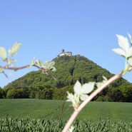 Hrad Bezděz