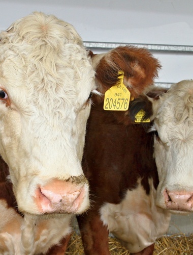 Zemědělci VLS opět prezentovali své BIO produkty na Karlovarsku