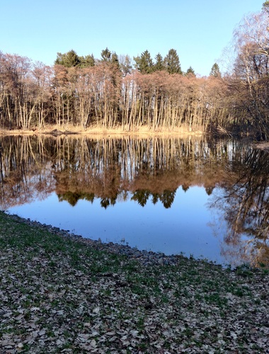 VLS dokončily obnovu dvou rybníků v evropsky významné lokalitě na Mladoboleslavsku