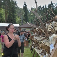 Lesnický den 2016