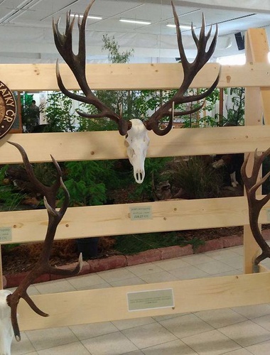 "Čtyřiadvacaterák z Libavé" má dnes premiéru na Natura Viva