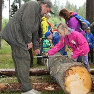 Lesnický den 2015
