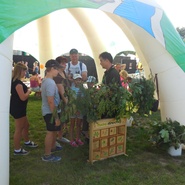 Festival dřeva 2016