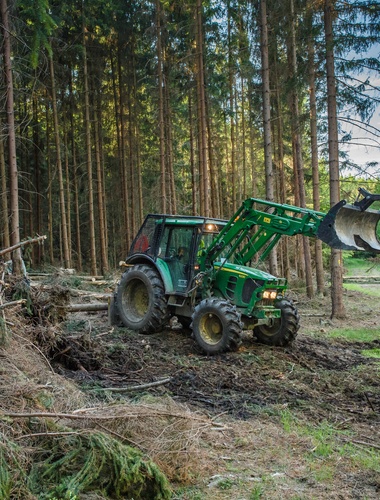 Rozdíly v evidenci vytěženého dříví jsou dané odlišnou metodiku 