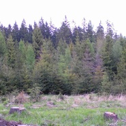 Kalamita u divize VLS Lipník n. B., 2015