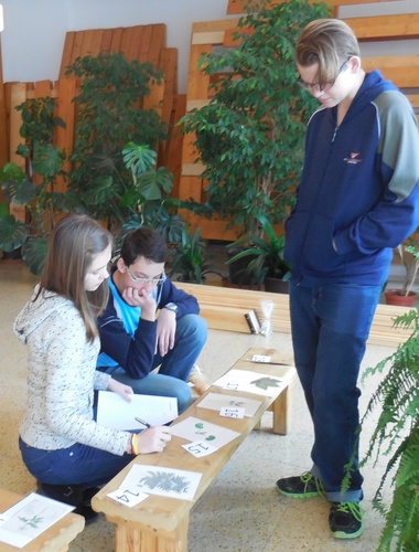 YPEF 2016: Žáci z Lipníku jdou do národního finále