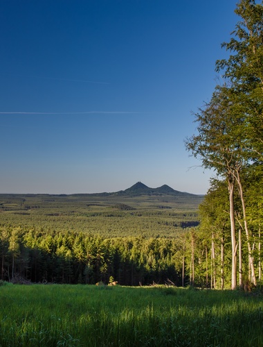 Změna práva hospodařit mezi Lesy ČR a VLS se vrátí do výchozího stavu