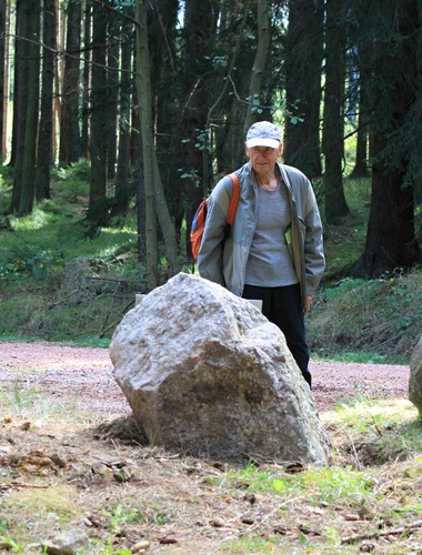 Vojenské lesy na Brdech otevřely naučnou stezku o lesnictví