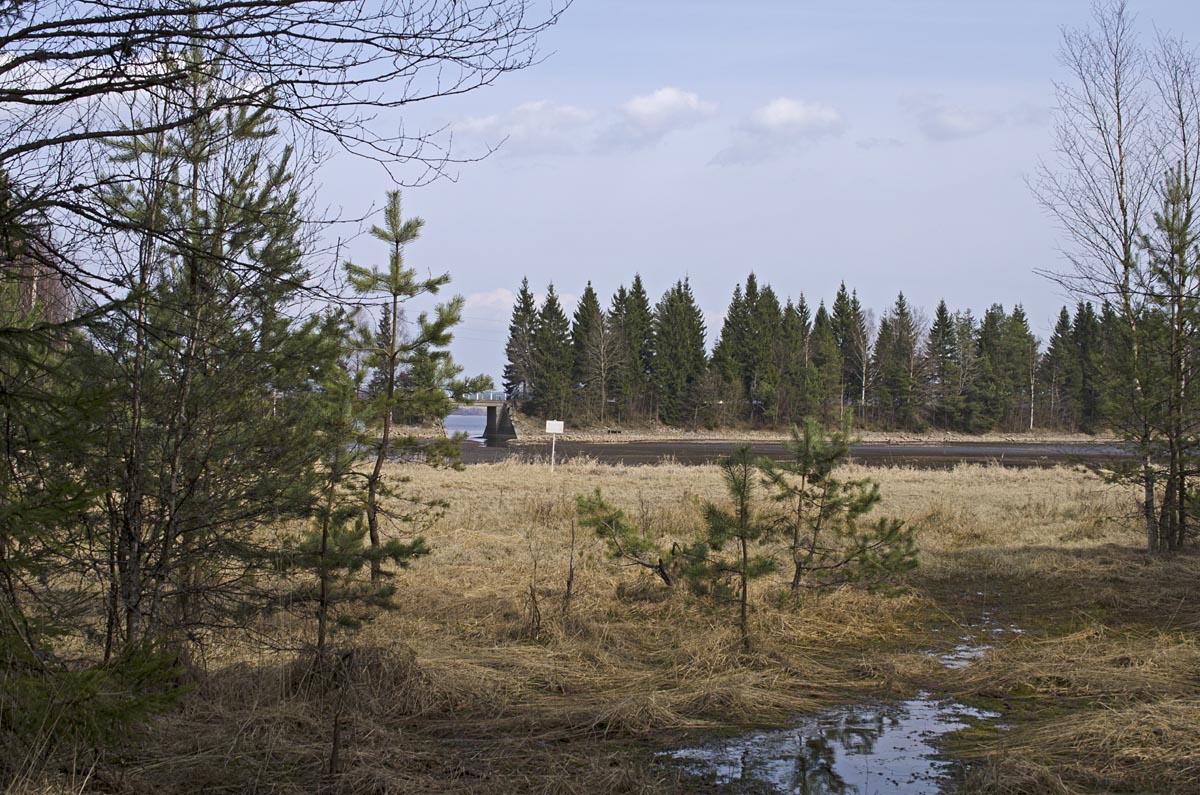 Bavorská niva